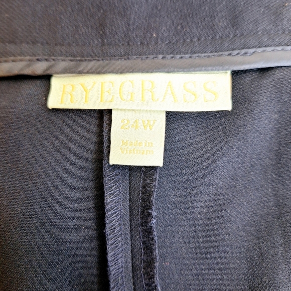 NWT Ryegrass brand" The Highwasit in the Office" Career Core slacks plus-size 24 - Picture 8 of 12